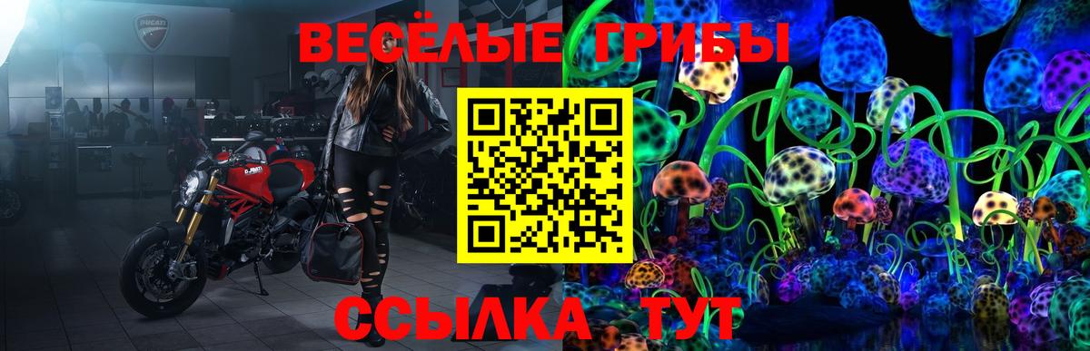 дарнет шоп  Вход с VPN  Рассказово  Псилоцибиновые грибы Psilocybe 